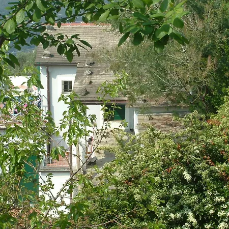 Summertime Apartment
